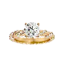 davida0001.webp