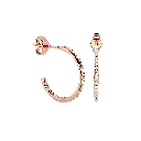 DH_RD_113 0006.webp