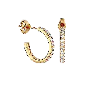 DH_RD_114 0005.webp