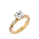 davida0011.webp